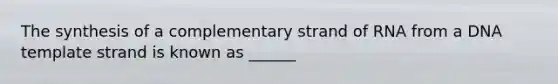 The synthesis of a complementary strand of RNA from a DNA template strand is known as ______