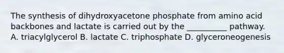 The synthesis of dihydroxyacetone phosphate from amino acid backbones and lactate is carried out by the __________ pathway. A. triacylglycerol B. lactate C. triphosphate D. glyceroneogenesis