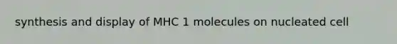 synthesis and display of MHC 1 molecules on nucleated cell