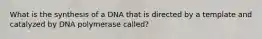 What is the synthesis of a DNA that is directed by a template and catalyzed by DNA polymerase called?