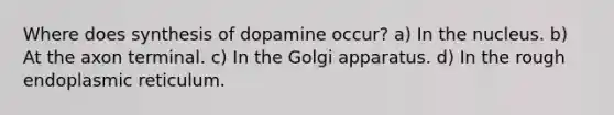 Where does synthesis of dopamine occur? a) In the nucleus. b) At the axon terminal. c) In the Golgi apparatus. d) In the rough endoplasmic reticulum.