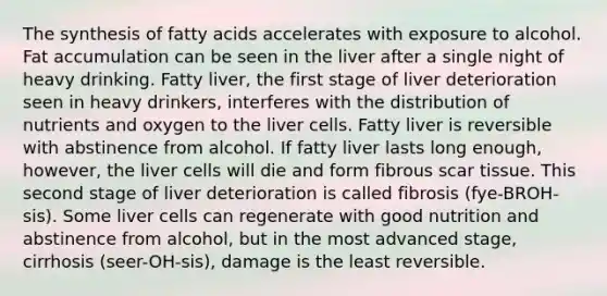 The synthesis of fatty acids accelerates with exposure to alcohol. Fat accumulation can be seen in the liver after a single night of heavy drinking. Fatty liver, the first stage of liver deterioration seen in heavy drinkers, interferes with the distribution of nutrients and oxygen to the liver cells. Fatty liver is reversible with abstinence from alcohol. If fatty liver lasts long enough, however, the liver cells will die and form fibrous scar tissue. This second stage of liver deterioration is called fibrosis (fye-BROH-sis). Some liver cells can regenerate with good nutrition and abstinence from alcohol, but in the most advanced stage, cirrhosis (seer-OH-sis), damage is the least reversible.