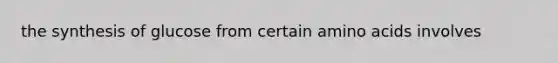the synthesis of glucose from certain amino acids involves
