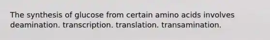 The synthesis of glucose from certain amino acids involves deamination. transcription. translation. transamination.