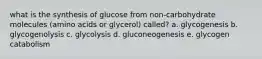 what is the synthesis of glucose from non-carbohydrate molecules (amino acids or glycerol) called? a. glycogenesis b. glycogenolysis c. glycolysis d. gluconeogenesis e. glycogen catabolism