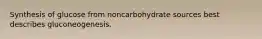 Synthesis of glucose from noncarbohydrate sources best describes gluconeogenesis.