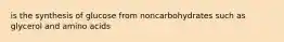 is the synthesis of glucose from noncarbohydrates such as glycerol and amino acids