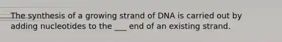 The synthesis of a growing strand of DNA is carried out by adding nucleotides to the ___ end of an existing strand.