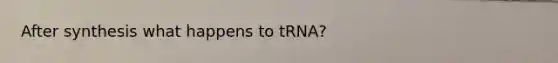 After synthesis what happens to tRNA?