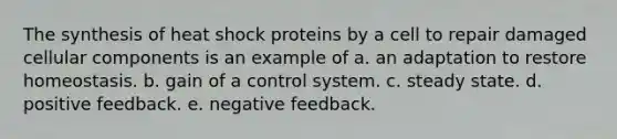 The synthesis of heat shock proteins by a cell to repair damaged cellular components is an example of a. an adaptation to restore homeostasis. b. gain of a control system. c. steady state. d. positive feedback. e. negative feedback.