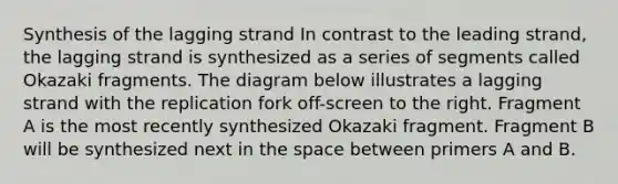 Synthesis of the lagging strand In contrast to the leading strand, the lagging strand is synthesized as a series of segments called Okazaki fragments. The diagram below illustrates a lagging strand with the replication fork off-screen to the right. Fragment A is the most recently synthesized Okazaki fragment. Fragment B will be synthesized next in <a href='https://www.questionai.com/knowledge/k0Lyloclid-the-space' class='anchor-knowledge'>the space</a> between primers A and B.