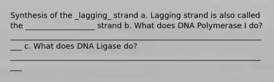 Synthesis of the _lagging_ strand a. Lagging strand is also called the __________________ strand b. What does DNA Polymerase I do? ____________________________________________________________________ c. What does DNA Ligase do? ____________________________________________________________________