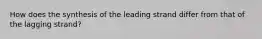 How does the synthesis of the leading strand differ from that of the lagging strand?