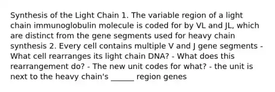 Synthesis of the Light Chain 1. The variable region of a light chain immunoglobulin molecule is coded for by VL and JL, which are distinct from the gene segments used for heavy chain synthesis 2. Every cell contains multiple V and J gene segments - What cell rearranges its light chain DNA? - What does this rearrangement do? - The new unit codes for what? - the unit is next to the heavy chain's ______ region genes