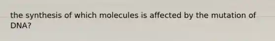 the synthesis of which molecules is affected by the mutation of DNA?