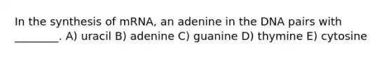 In the synthesis of mRNA, an adenine in the DNA pairs with ________. A) uracil B) adenine C) guanine D) thymine E) cytosine