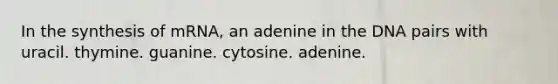 In the synthesis of mRNA, an adenine in the DNA pairs with uracil. thymine. guanine. cytosine. adenine.