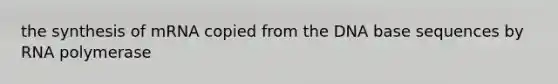 the synthesis of mRNA copied from the DNA base sequences by RNA polymerase