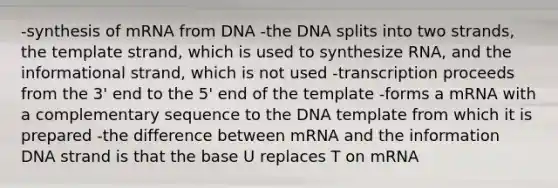 -synthesis of mRNA from DNA -the DNA splits into two strands, the template strand, which is used to synthesize RNA, and the informational strand, which is not used -transcription proceeds from the 3' end to the 5' end of the template -forms a mRNA with a complementary sequence to the DNA template from which it is prepared -the difference between mRNA and the information DNA strand is that the base U replaces T on mRNA