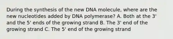 During the synthesis of the new DNA molecule, where are the new nucleotides added by DNA polymerase? A. Both at the 3' and the 5' ends of the growing strand B. The 3' end of the growing strand C. The 5' end of the growing strand