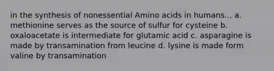 in the synthesis of nonessential Amino acids in humans... a. methionine serves as the source of sulfur for cysteine b. oxaloacetate is intermediate for glutamic acid c. asparagine is made by transamination from leucine d. lysine is made form valine by transamination