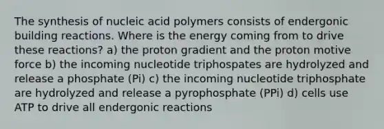 The synthesis of nucleic acid polymers consists of endergonic building reactions. Where is the energy coming from to drive these reactions? a) the proton gradient and the proton motive force b) the incoming nucleotide triphospates are hydrolyzed and release a phosphate (Pi) c) the incoming nucleotide triphosphate are hydrolyzed and release a pyrophosphate (PPi) d) cells use ATP to drive all endergonic reactions