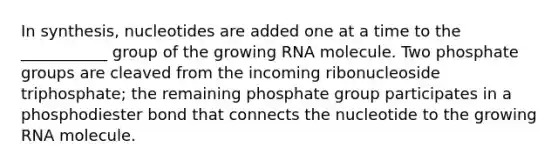 In synthesis, nucleotides are added one at a time to the ___________ group of the growing RNA molecule. Two phosphate groups are cleaved from the incoming ribonucleoside triphosphate; the remaining phosphate group participates in a phosphodiester bond that connects the nucleotide to the growing RNA molecule.