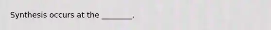 Synthesis occurs at the ________.