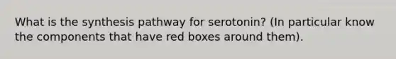 What is the synthesis pathway for serotonin? (In particular know the components that have red boxes around them).