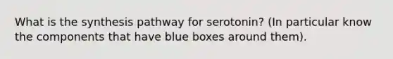 What is the synthesis pathway for serotonin? (In particular know the components that have blue boxes around them).