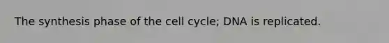 The synthesis phase of the <a href='https://www.questionai.com/knowledge/keQNMM7c75-cell-cycle' class='anchor-knowledge'>cell cycle</a>; DNA is replicated.