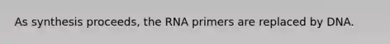 As synthesis proceeds, the RNA primers are replaced by DNA.