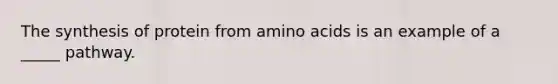 The synthesis of protein from amino acids is an example of a _____ pathway.