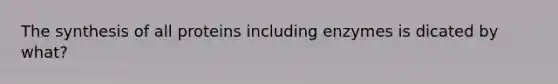 The synthesis of all proteins including enzymes is dicated by what?