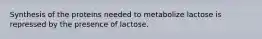 Synthesis of the proteins needed to metabolize lactose is repressed by the presence of lactose.