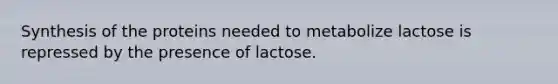 Synthesis of the proteins needed to metabolize lactose is repressed by the presence of lactose.