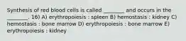 Synthesis of red blood cells is called ________ and occurs in the ________. 16) A) erythropoiesis : spleen B) hemostasis : kidney C) hemostasis : bone marrow D) erythropoiesis : bone marrow E) erythropoiesis : kidney