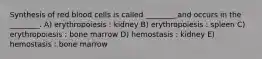 Synthesis of red blood cells is called ________ and occurs in the ________. A) erythropoiesis : kidney B) erythropoiesis : spleen C) erythropoiesis : bone marrow D) hemostasis : kidney E) hemostasis : bone marrow