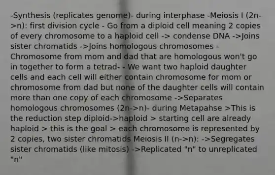 -Synthesis (replicates genome)- during interphase -Meiosis I (2n->n): first division cycle - Go from a diploid cell meaning 2 copies of every chromosome to a haploid cell -> condense DNA ->Joins sister chromatids ->Joins homologous chromosomes - Chromosome from mom and dad that are homologous won't go in together to form a tetrad- - We want two haploid daughter cells and each cell will either contain chromosome for mom or chromosome from dad but none of the daughter cells will contain more than one copy of each chromosome ->Separates homologous chromosomes (2n->n)- during Metapahse >This is the reduction step diploid->haploid > starting cell are already haploid > this is the goal > each chromosome is represented by 2 copies, two sister chromatids Meiosis II (n->n): ->Segregates sister chromatids (like mitosis) ->Replicated "n" to unreplicated "n"