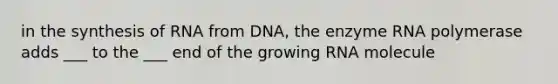 in the synthesis of RNA from DNA, the enzyme RNA polymerase adds ___ to the ___ end of the growing RNA molecule