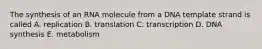 The synthesis of an RNA molecule from a DNA template strand is called A. replication B. translation C. transcription D. DNA synthesis E. metabolism