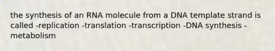 the synthesis of an RNA molecule from a DNA template strand is called -replication -translation -transcription -DNA synthesis -metabolism