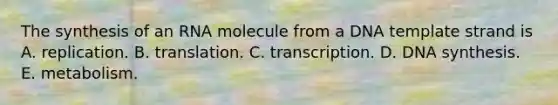 The synthesis of an RNA molecule from a DNA template strand is A. replication. B. translation. C. transcription. D. DNA synthesis. E. metabolism.