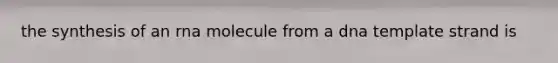 the synthesis of an rna molecule from a dna template strand is