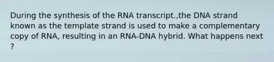 During the synthesis of the RNA transcript.,the DNA strand known as the template strand is used to make a complementary copy of RNA, resulting in an RNA-DNA hybrid. What happens next ?