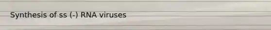 Synthesis of ss (-) RNA viruses