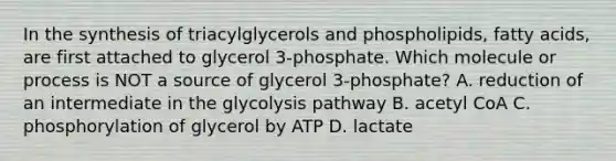 In the synthesis of triacylglycerols and phospholipids, fatty acids, are first attached to glycerol 3-phosphate. Which molecule or process is NOT a source of glycerol 3-phosphate? A. reduction of an intermediate in the glycolysis pathway B. acetyl CoA C. phosphorylation of glycerol by ATP D. lactate