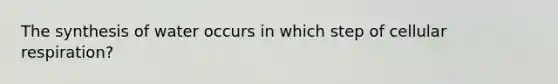 The synthesis of water occurs in which step of cellular respiration?