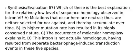 : Synthesis/Evaluation 67) Which of these is the best explanation for the relatively low level of sequence homology observed in Intron VI? A) Mutations that occur here are neutral; thus, are neither selected for nor against, and thereby accumulate over time. B) Its higher mutation rate has resulted in its highly conserved nature. C) The occurrence of molecular homoplasy explains it. D) This intron is not actually homologous, having resulted from separate bacteriophage-induced transduction events in these five species.