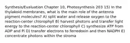 Synthesis/Evaluation Chapter 10, Photosynthesis 203 15) In the thylakoid membranes, what is the main role of the antenna pigment molecules? A) split water and release oxygen to the reaction-center chlorophyll B) harvest photons and transfer light energy to the reaction-center chlorophyll C) synthesize ATP from ADP and Pi D) transfer electrons to ferredoxin and then NADPH E) concentrate photons within the stroma